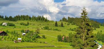 Фото Дома для отпуска Serenity Villa г. Şaru Dornei 4